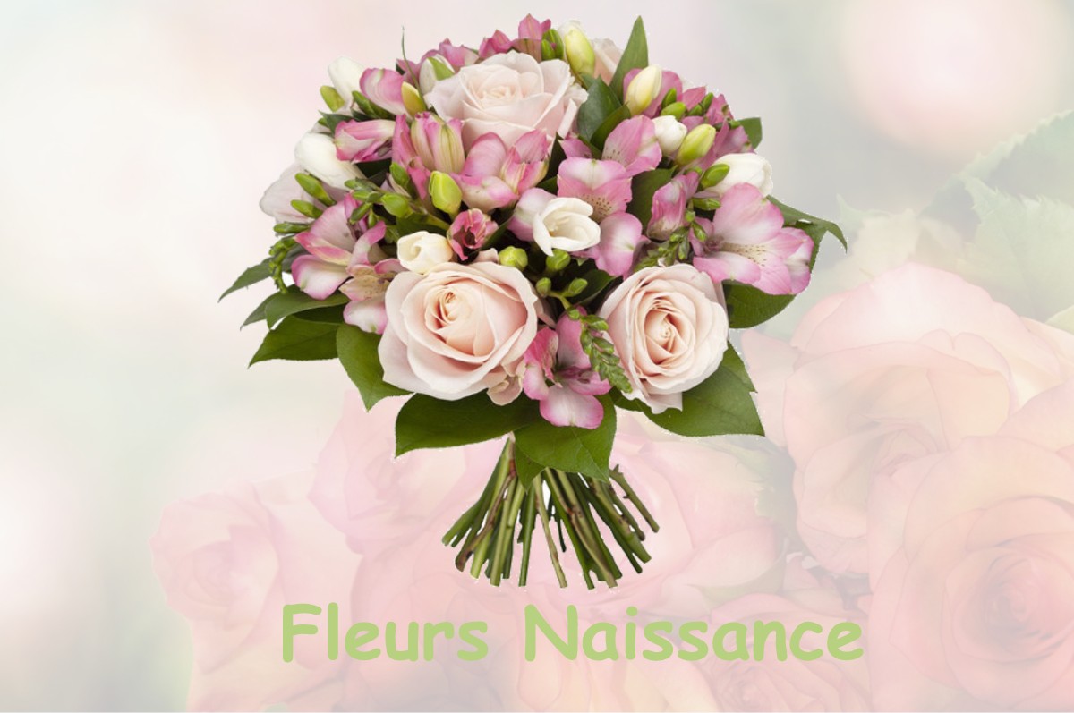 fleurs naissance CHAMPNEUVILLE