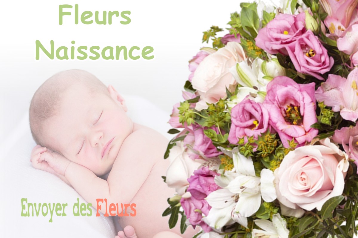 lIVRAISON FLEURS NAISSANCE à CHAMPNEUVILLE